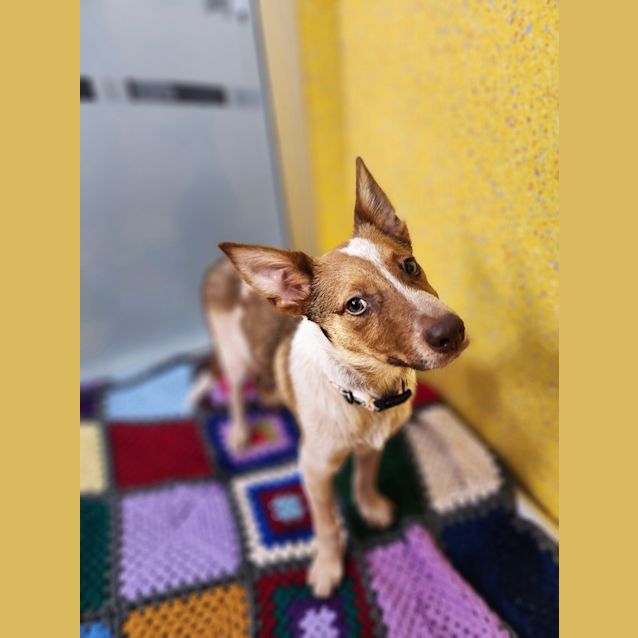 Photo of Sammy