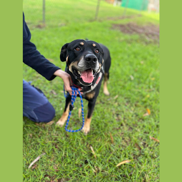 Photo of Max