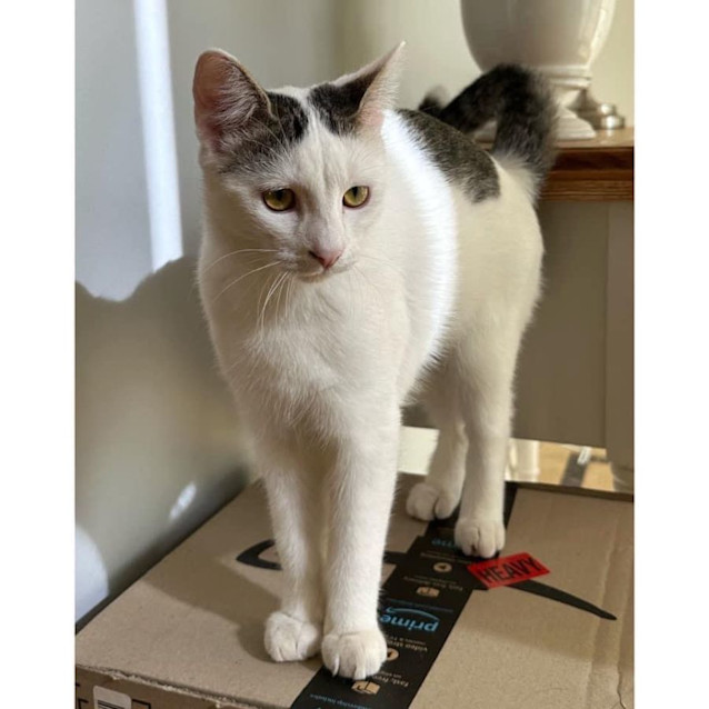 Photo of 10251   Paulo