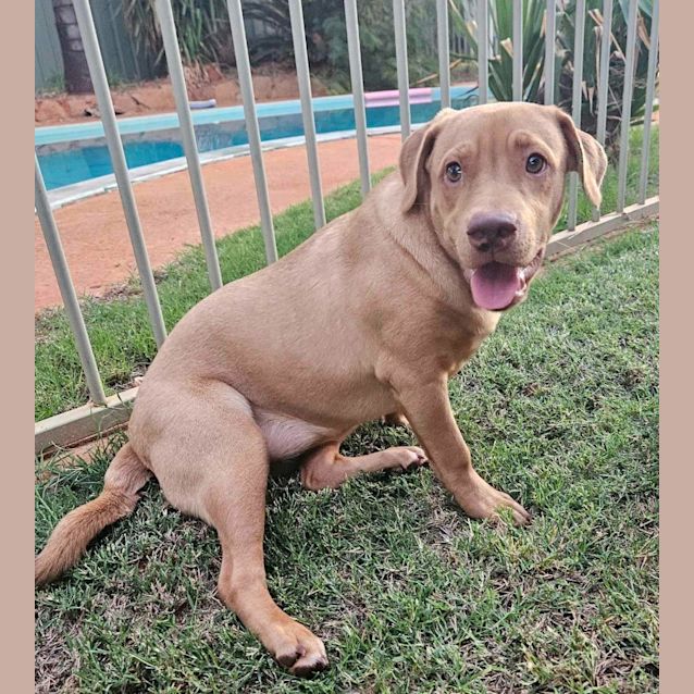 Photo of Chico