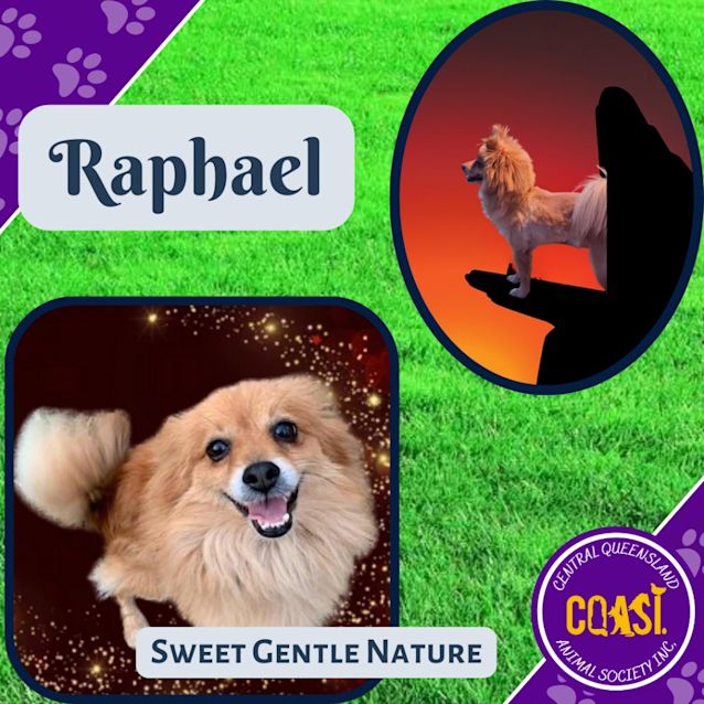 Photo of Raphael