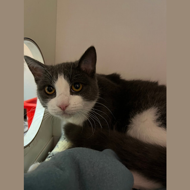 Photo of Little Elle