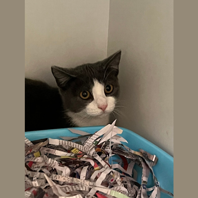 Photo of Little Elle