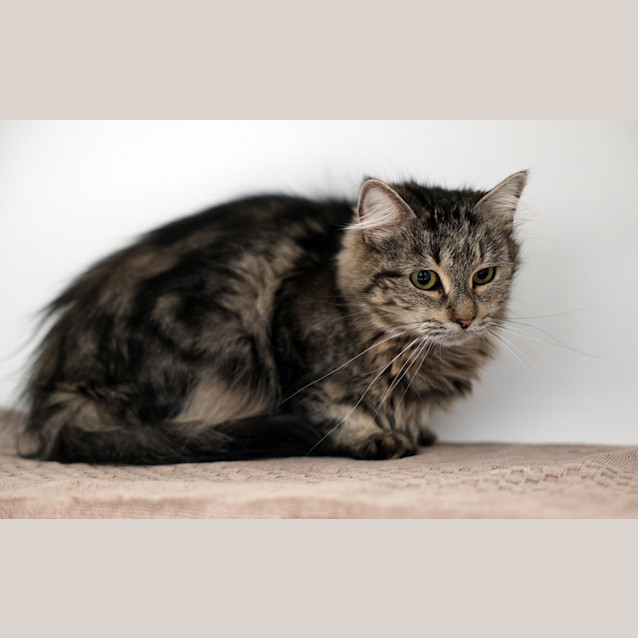 Photo of Sammie