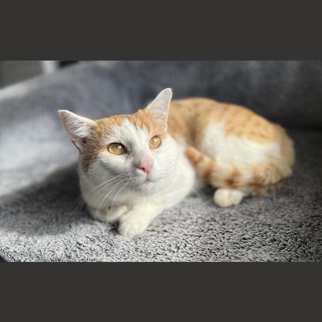 Photo of Wally Wiggle Worm