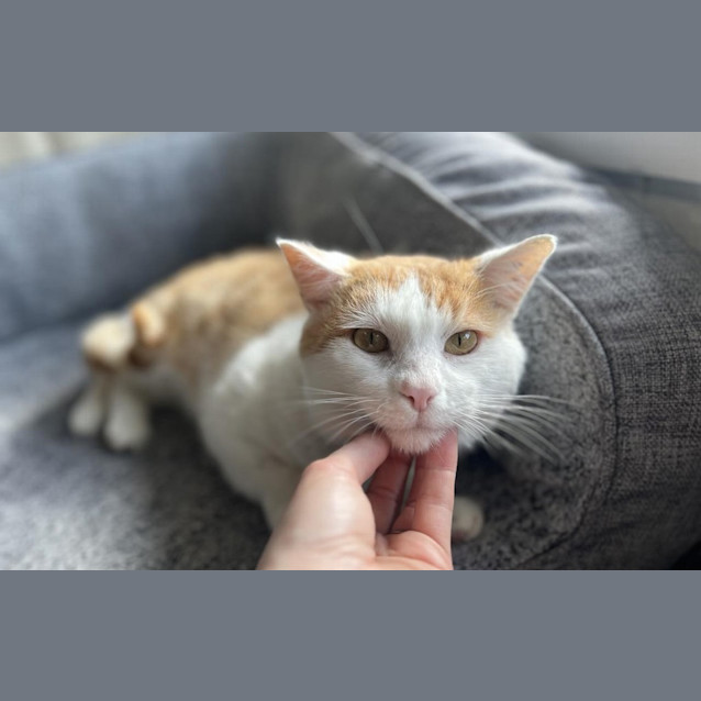 Photo of Wally Wiggle Worm