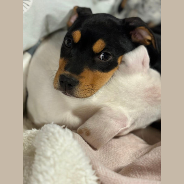 Photo of Ketchup
