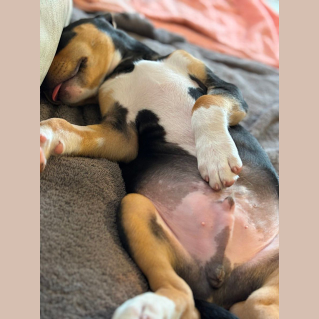 Photo of Ketchup