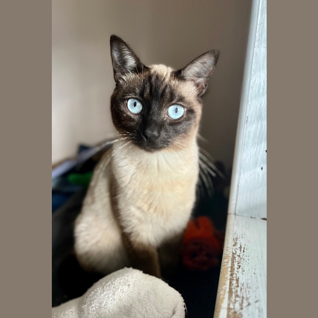 Photo of Lilah   Mowbray