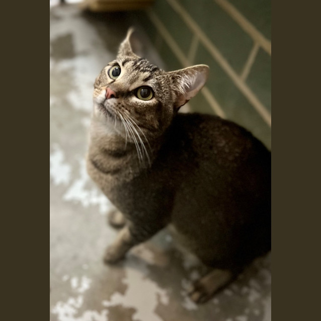 Photo of Milo   Mowbray