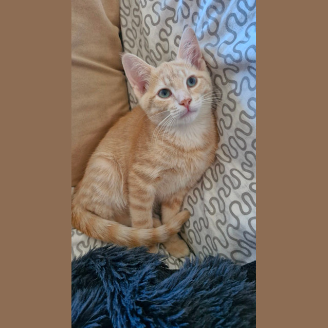 Photo of Byron