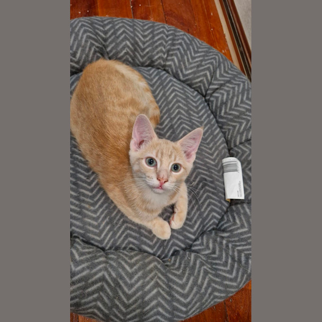 Photo of Byron