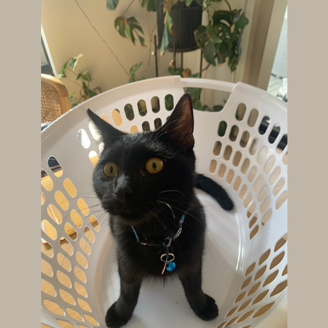 Photo of Krueger