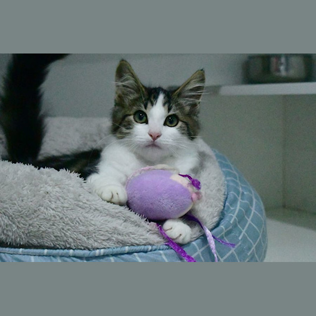 Photo of Tobias Fünke