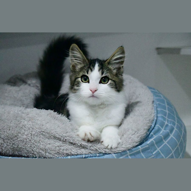 Photo of Tobias Fünke