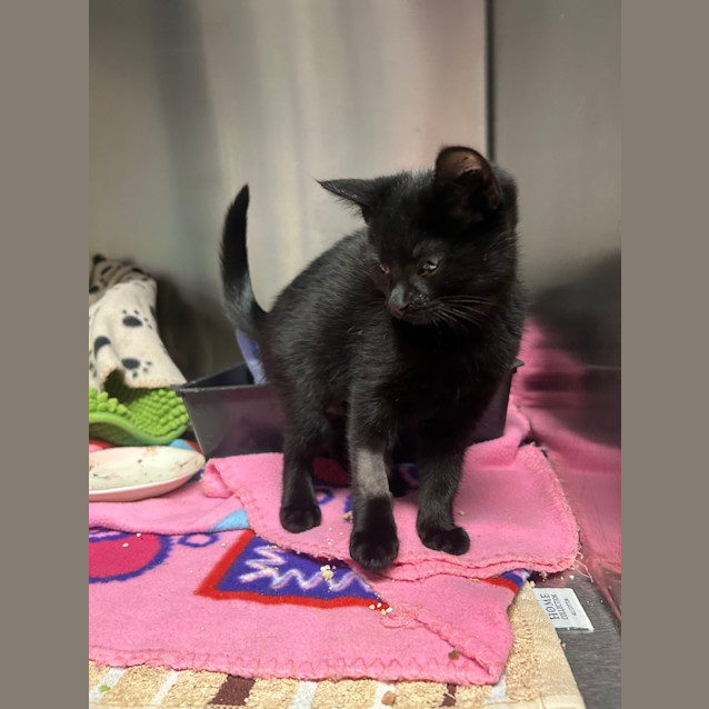 Photo of Luna