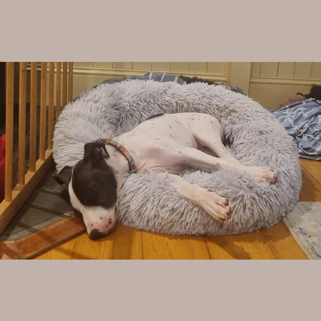 Photo of Odin