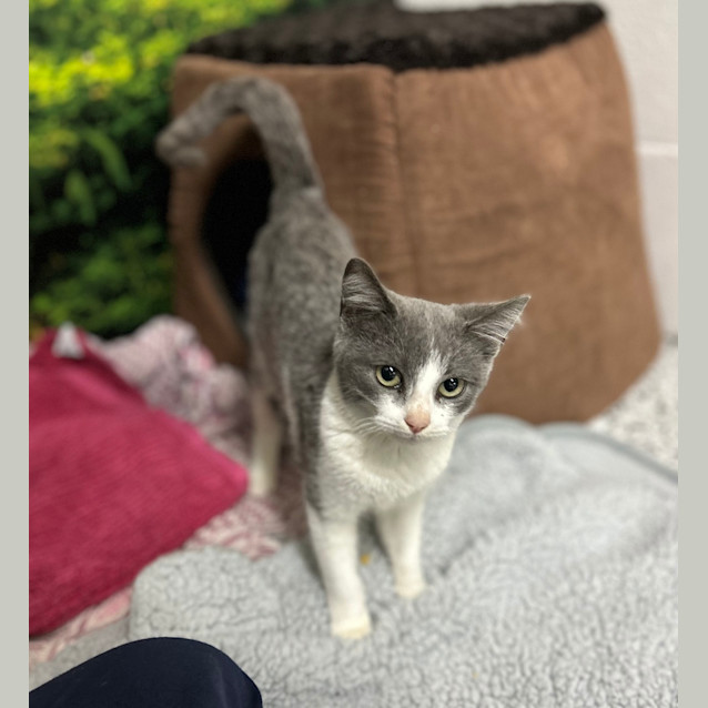 Photo of Tommy