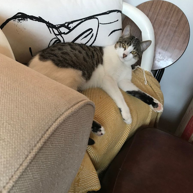 Photo of Roger