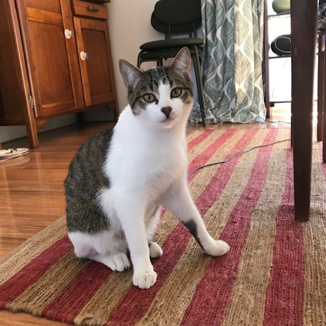 Photo of Roger