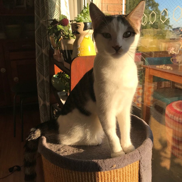 Photo of Terry