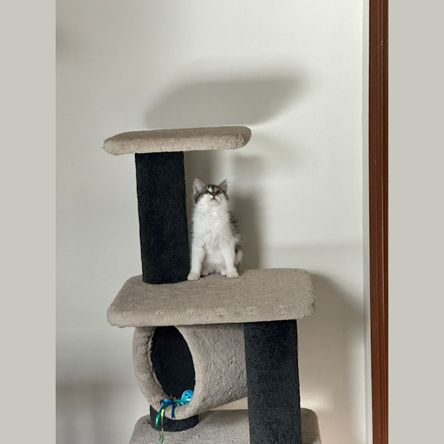 Photo of Frank/Roberto