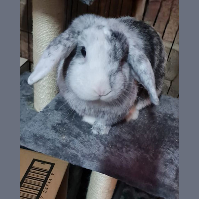 Photo of Peter Tumbler