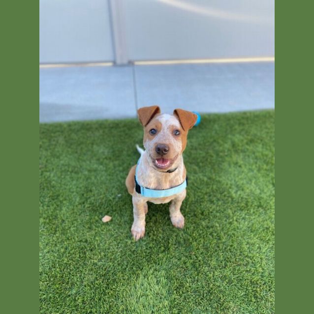 Photo of Bingo