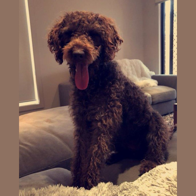 Photo of Molly Haliwell