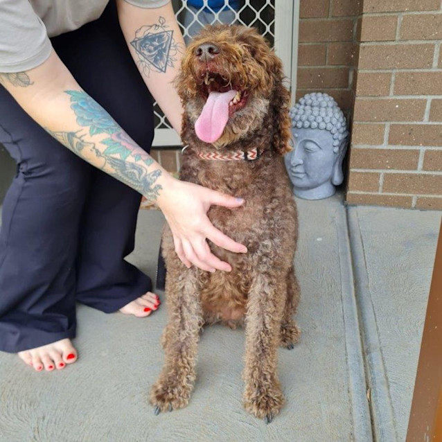 Photo of Molly Haliwell