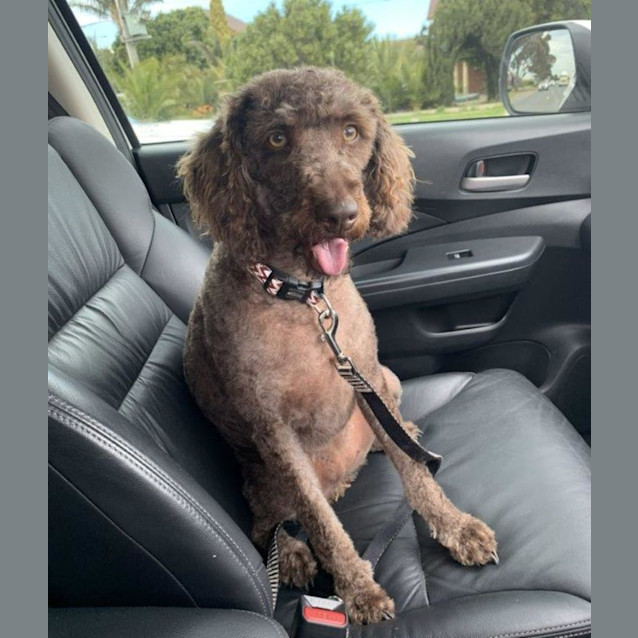 Photo of Molly Haliwell