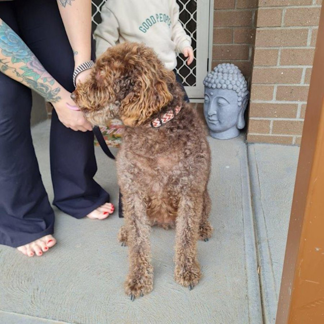 Photo of Molly Haliwell