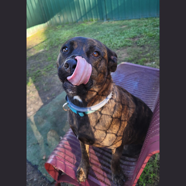 Photo of Lilly