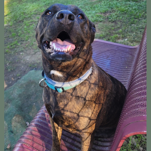 Photo of Lilly