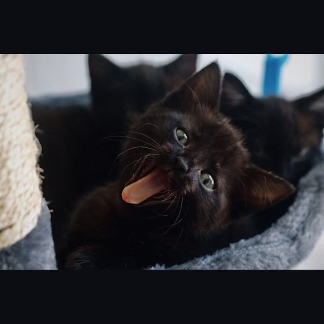 Photo of 🧡 Titan 🧡