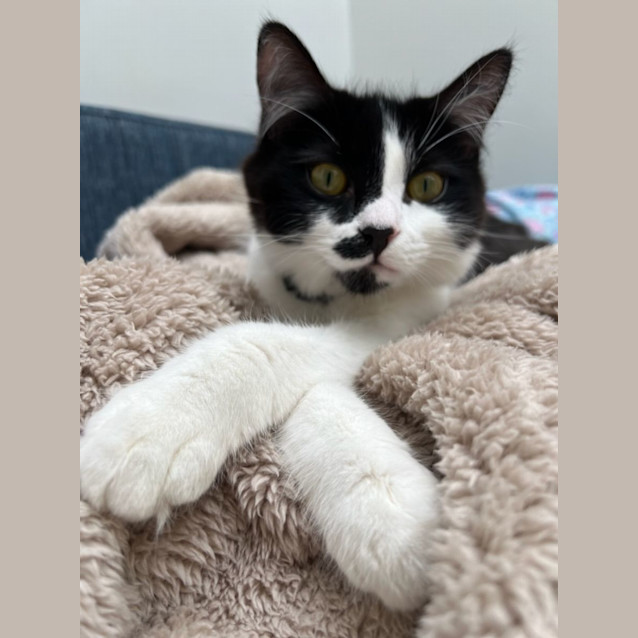 Photo of Mimi