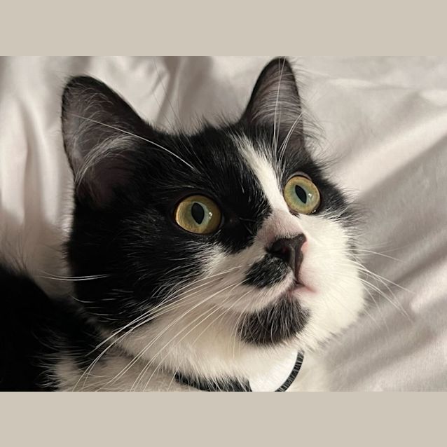 Photo of Mimi