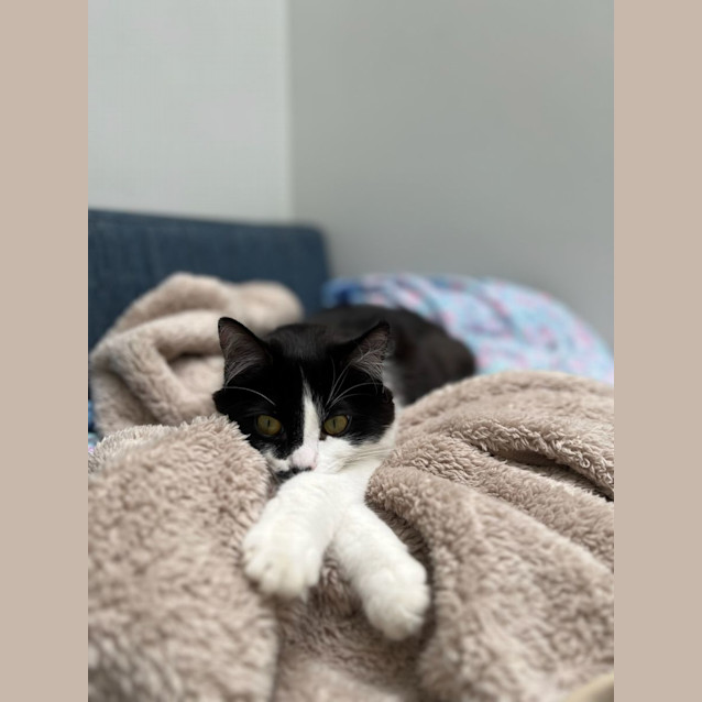 Photo of Mimi
