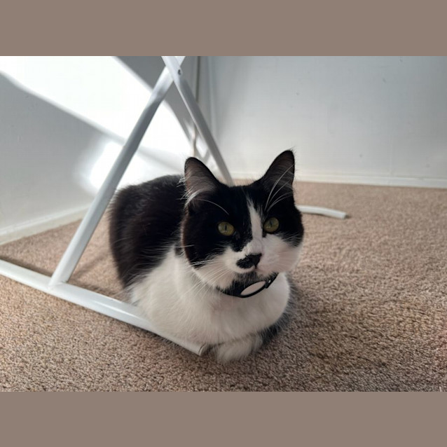 Photo of Mimi