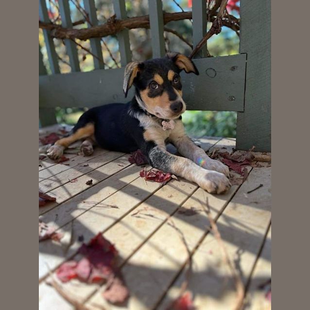 Photo of Turbo 