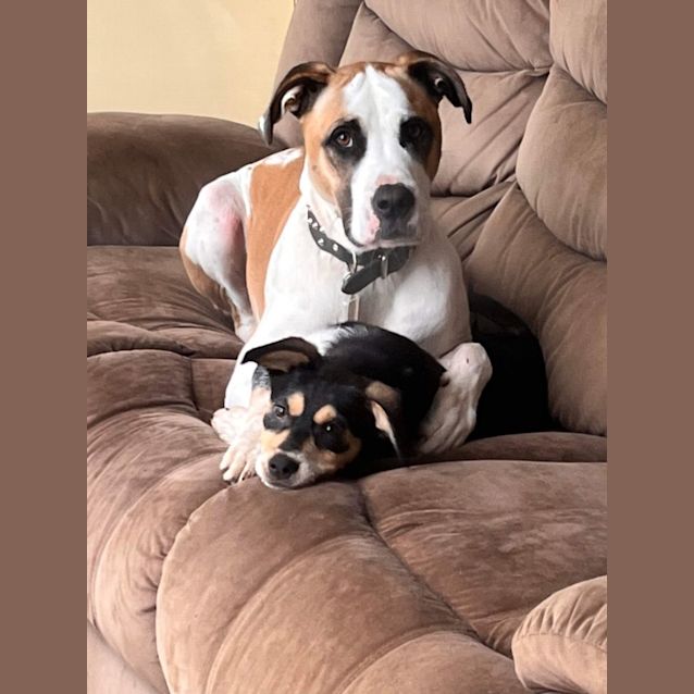 Photo of Turbo 