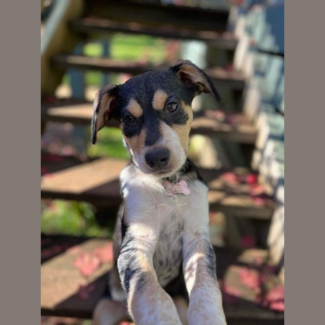 Photo of Turbo 