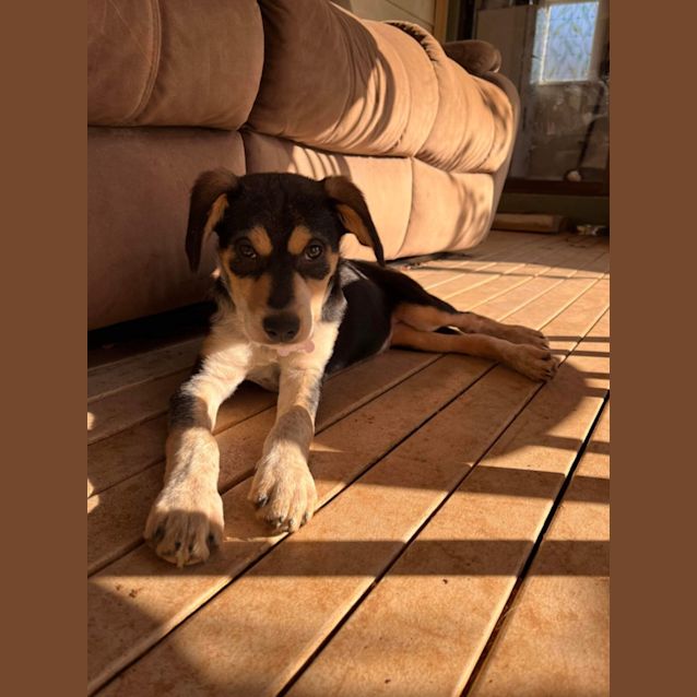 Photo of Turbo 