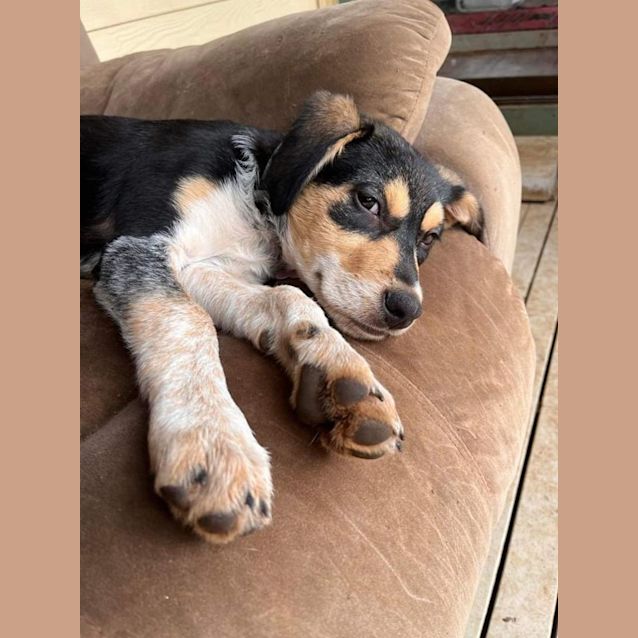 Photo of Turbo 