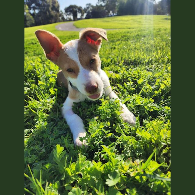 Photo of Hayley 