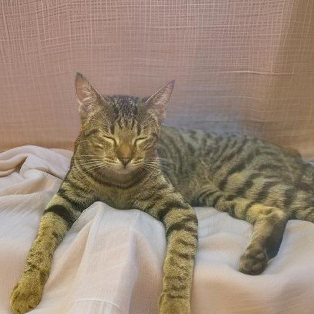 Photo of Lord Leopold