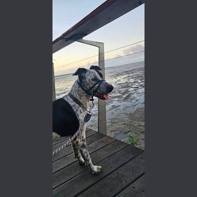 Photo of Tayla 
