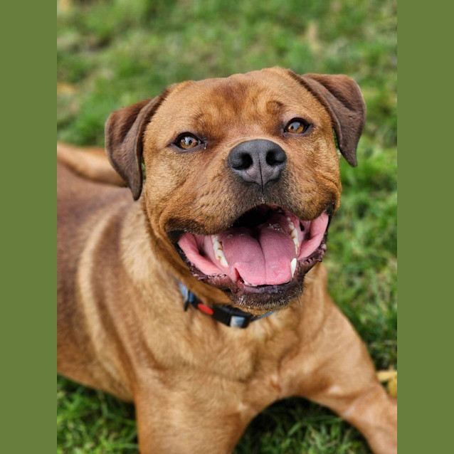 Photo of 🏉 Travis 5073 🏉