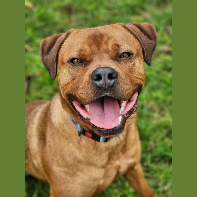 Photo of 🏉 Travis 5073 🏉