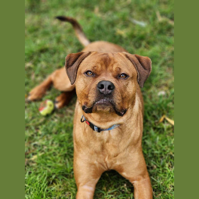 Photo of 🏉 Travis 5073 🏉